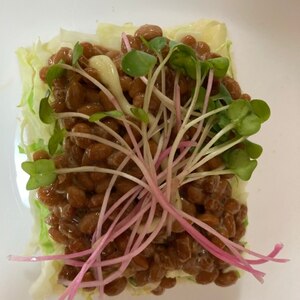 キャベツ★マヨ納豆トースト